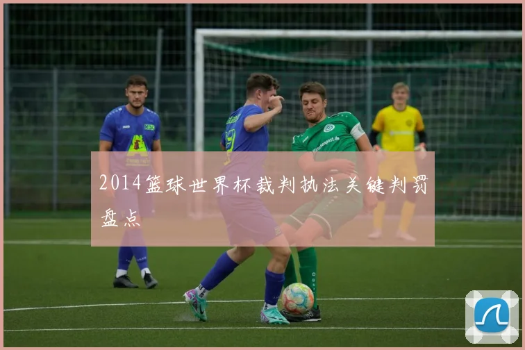 2014篮球世界杯裁判执法关键判罚盘点