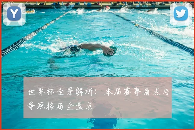 世界杯全景解析:本届赛事看点与争冠格局全盘点