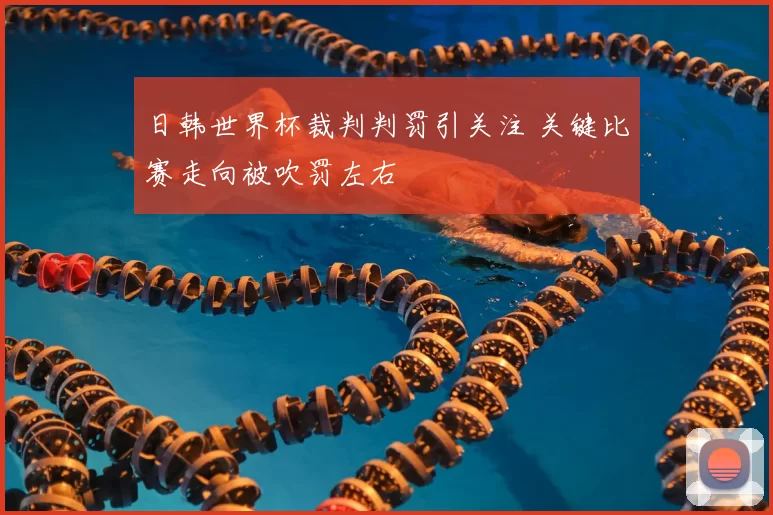 日韩世界杯裁判判罚引关注 关键比赛走向被吹罚左右