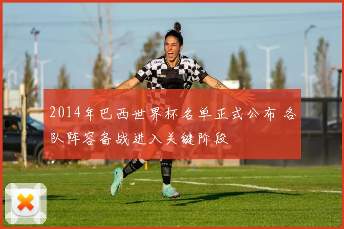 2014年巴西世界杯名单正式公布 各队阵容备战进入关键阶段